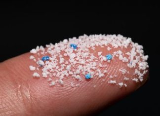 Έρευνα: Βρέθηκαν για πρώτη φορά μικροπλαστικά στο ανθρώπινο αίμα