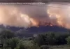 Φωτιά στον Έβρο Ασύλληπτη καταστροφή στο δάσος της Δαδιάς  Οι καπνοί έφτασαν μέχρι την Ίμβρο