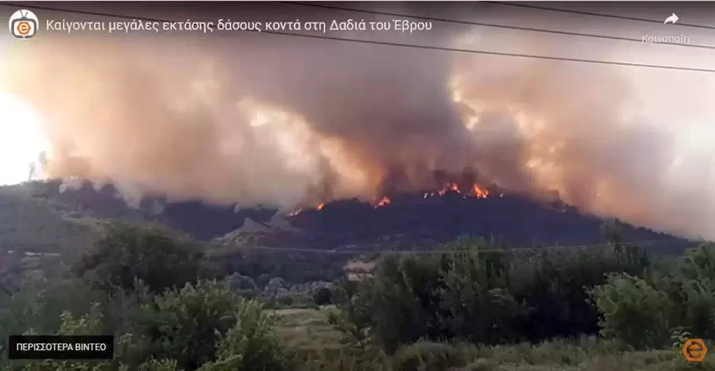 Φωτιά στον Έβρο Ασύλληπτη καταστροφή στο δάσος της Δαδιάς  Οι καπνοί έφτασαν μέχρι την Ίμβρο