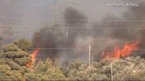 Το σχέδιο σταχτοποίησης της Ελλάδας, προχωράει με ταχείς ρυθμούς..